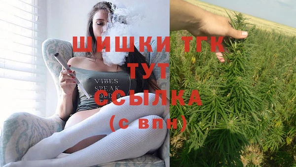 ГАЛЛЮЦИНОГЕННЫЕ ГРИБЫ Няндома