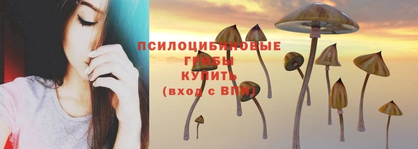 ГАЛЛЮЦИНОГЕННЫЕ ГРИБЫ Няндома