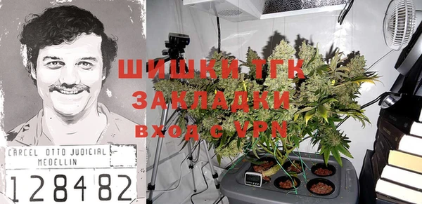 ГАЛЛЮЦИНОГЕННЫЕ ГРИБЫ Няндома