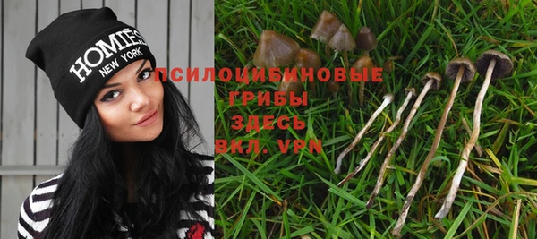 гидропоника Нязепетровск