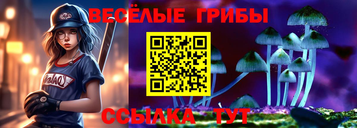 Псилоцибиновые грибы прущие грибы Унеча